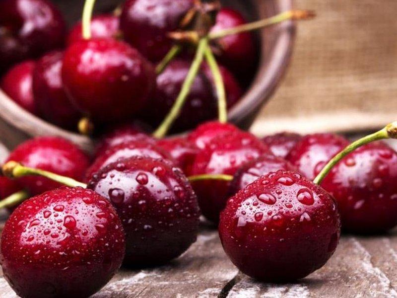 Вишня купить саженцы из питомника в Красноуфимске